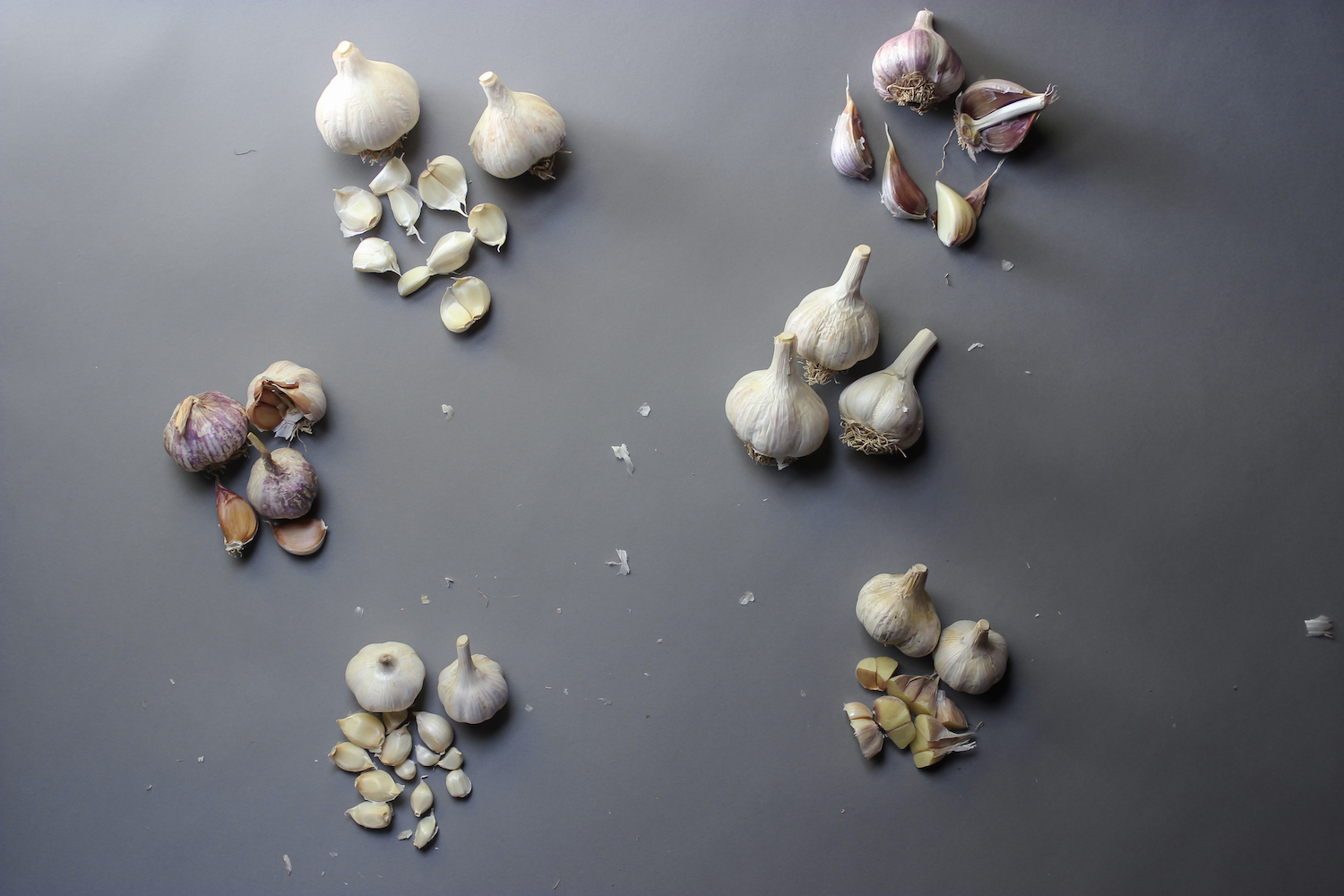 What are the different varieties of garlic? Moscow Food Co-op has the information.