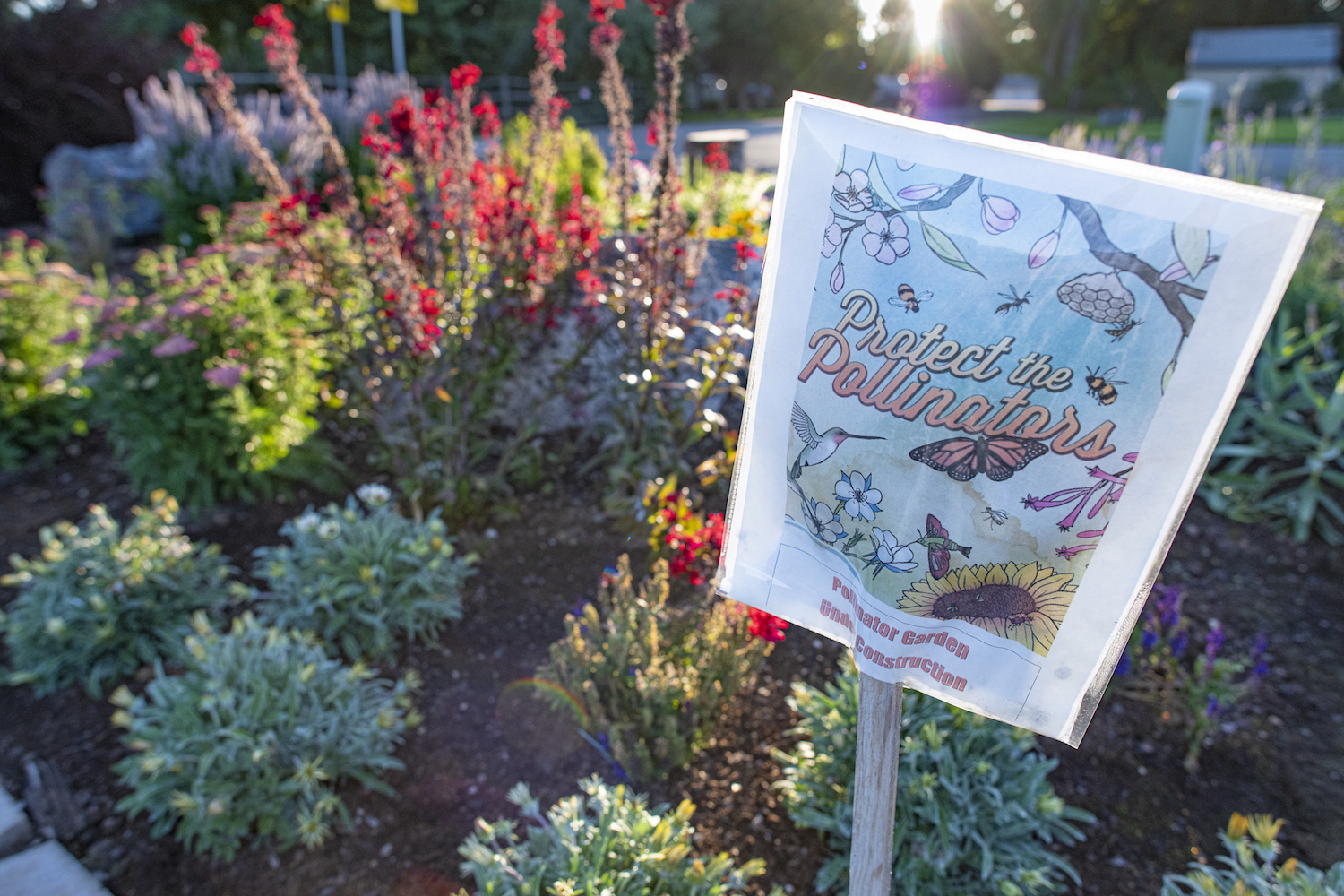 Juli Bokenkamp and employees of the Meridian Co-op Garden created the Kleiner Park Pollinator Garden Project to help raise pollinator populations in Idaho.