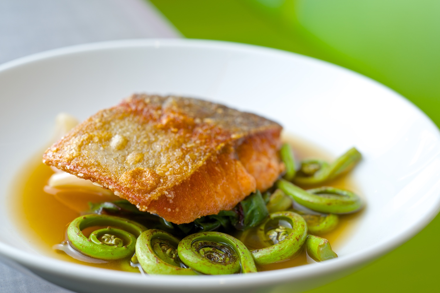 Columbia River Steelhead with fiddleheads, chard, roasted shallots, bacon & ginger broth.