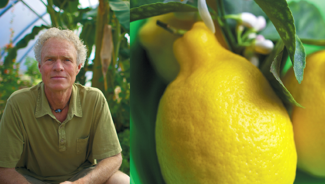 James Reed and Lemons