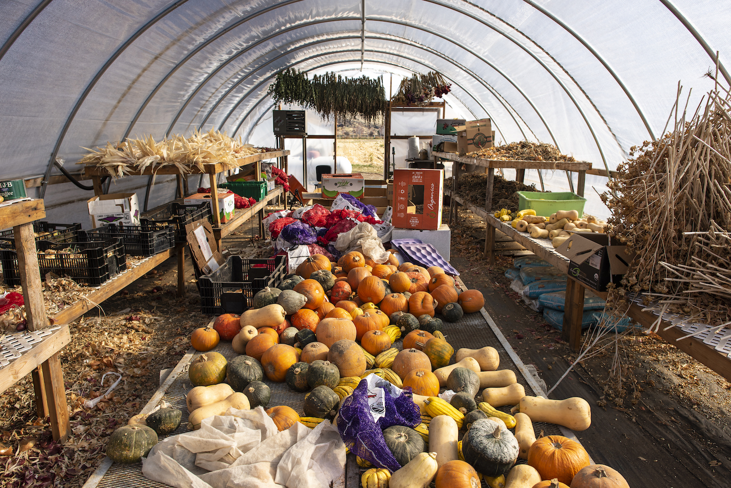 The operators of Fiddler's Green Farm in Boise, Idaho discuss what farmers do in the winter.