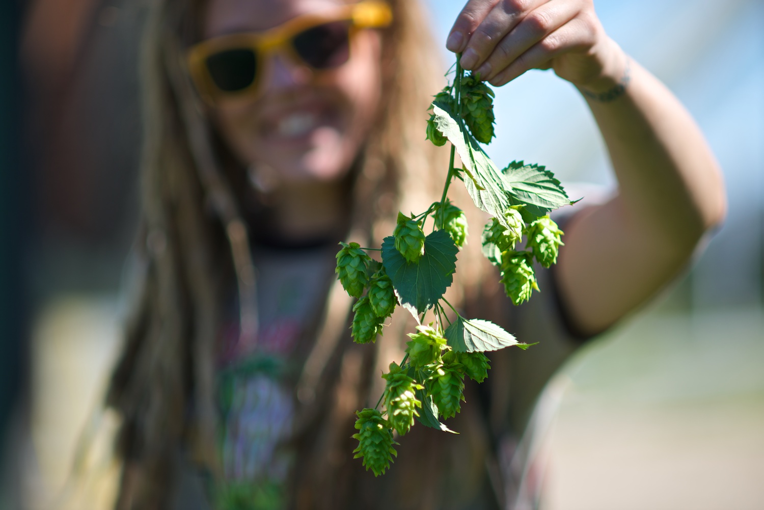 Hops for local Idaho breweries are being grown, as the need rises for more crops.