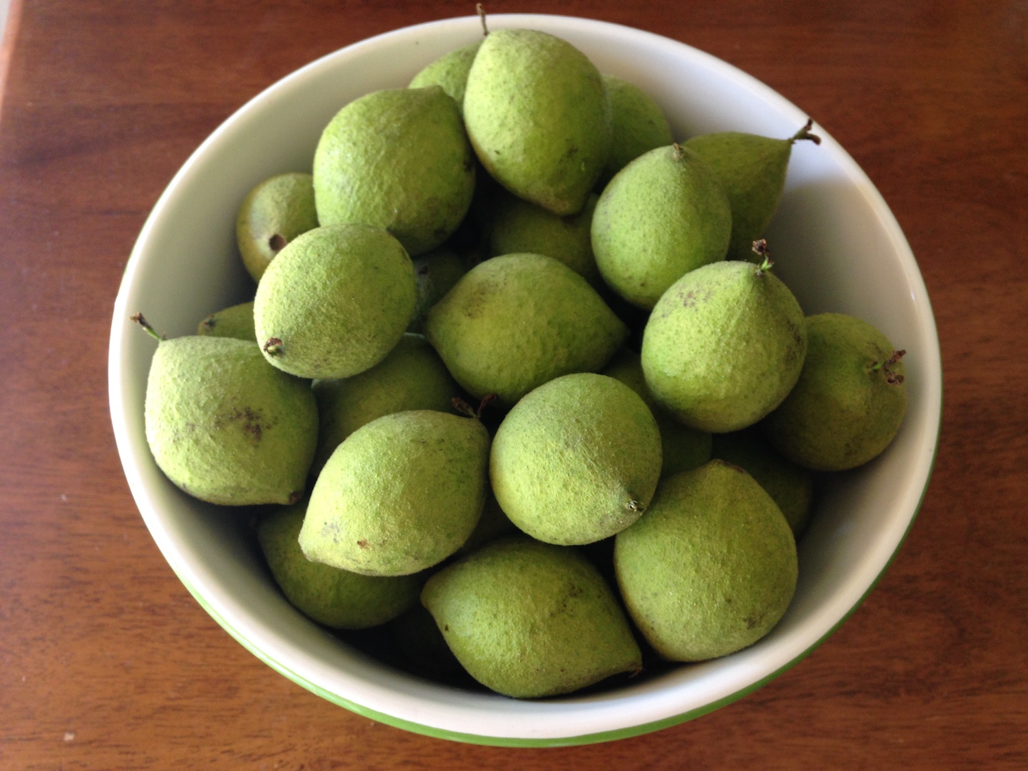 Unripe walnuts ready to be made into nocino.