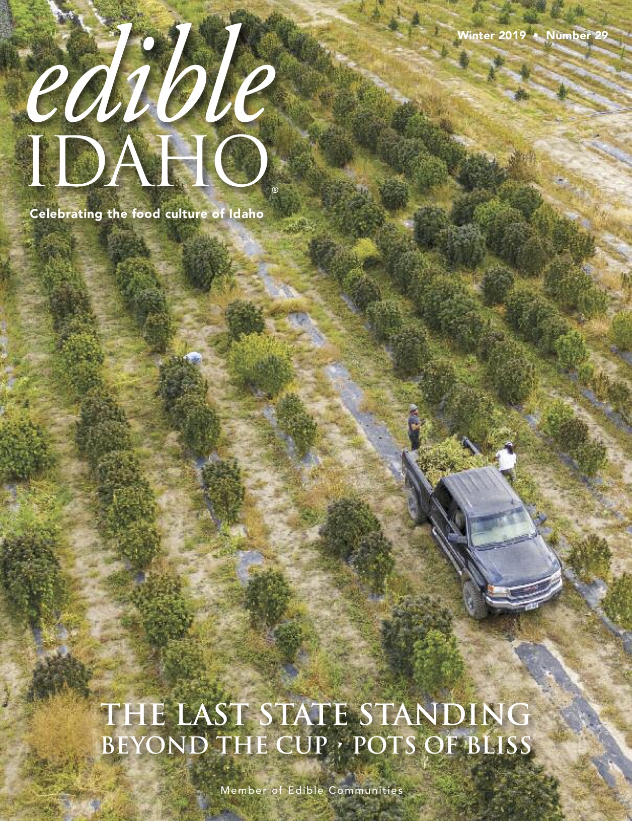 e_idaho_cover