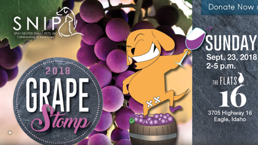 SNIP’s 2018 Grape Stomp in Eagle, Idaho.