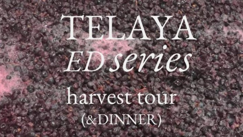 Albertsons Harvest Tour & Dinner at Telaya Wine Company