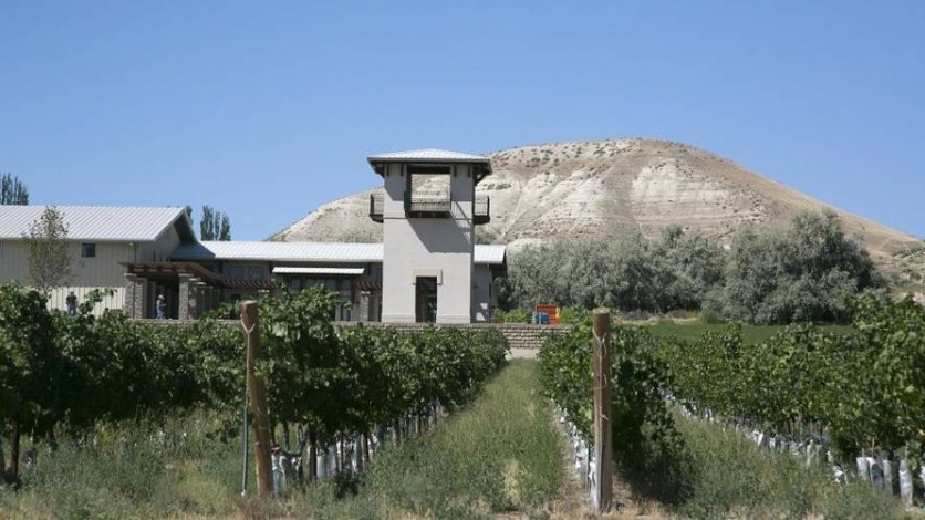 Koenig Vineyards Idaho