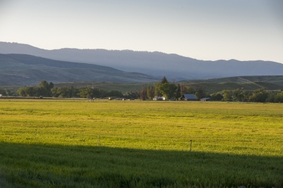 Former farmland at the Dry Creek Ranch development before construction.