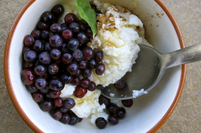 Vanilla ice cream topped with huckleberries and cinnamon