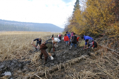 Harvesting water potatoes is a tradition of the Coeur d’Alene Tribe in Idaho.