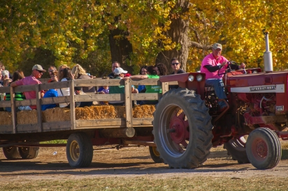 The Farmstead Corn maze is a staple for fall in Meridian, Idaho.