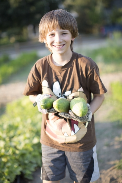 Kids harvesting cucumbers at Boise Urban Garden School.