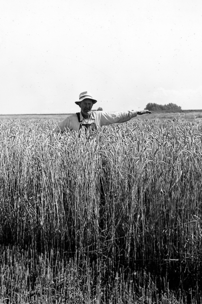 All archival photos of Idaho farmland courtesy of the Idaho State Historical Society.