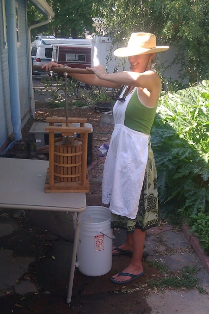 Local Boise resident picks and presses foraged Idaho apples for an impromptu apple pressing.