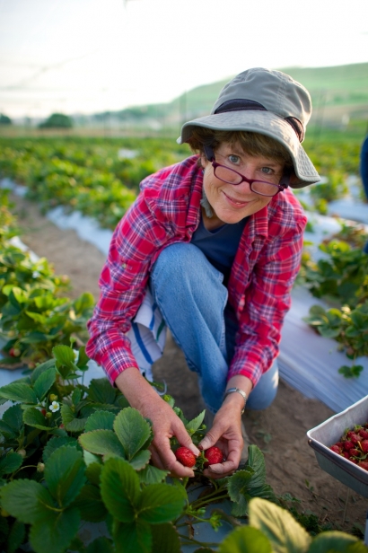 Jo Ann Smith tending to her strawberries in the patch in Payette, Idaho.