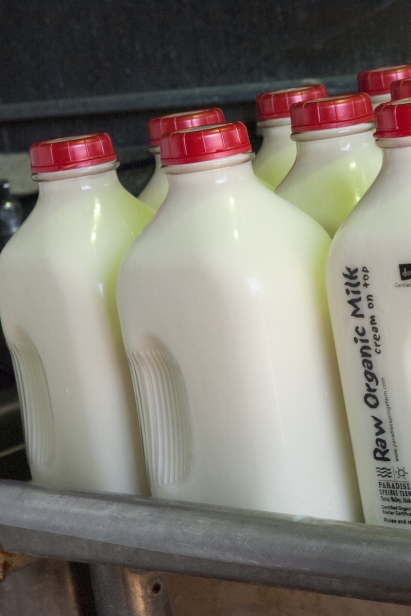 The raw milk debate continues in Idaho with many dairy farms producing unpasteurized milk.